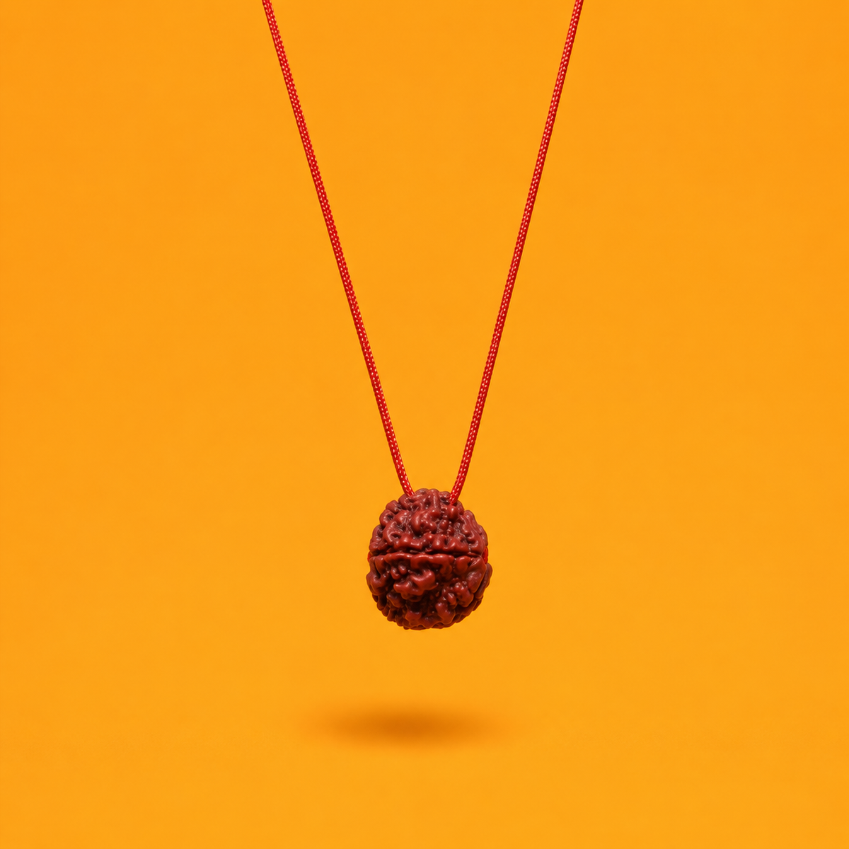 Original Panchmukhi Rudraksha with Red Thread