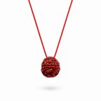 Original Panchmukhi Rudraksha with Red Thread